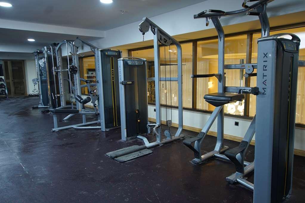 אדיס אבבה Best Western Premier Dynasty מתקנים תמונה